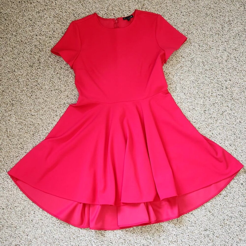 Express Hot Pink Dress Large